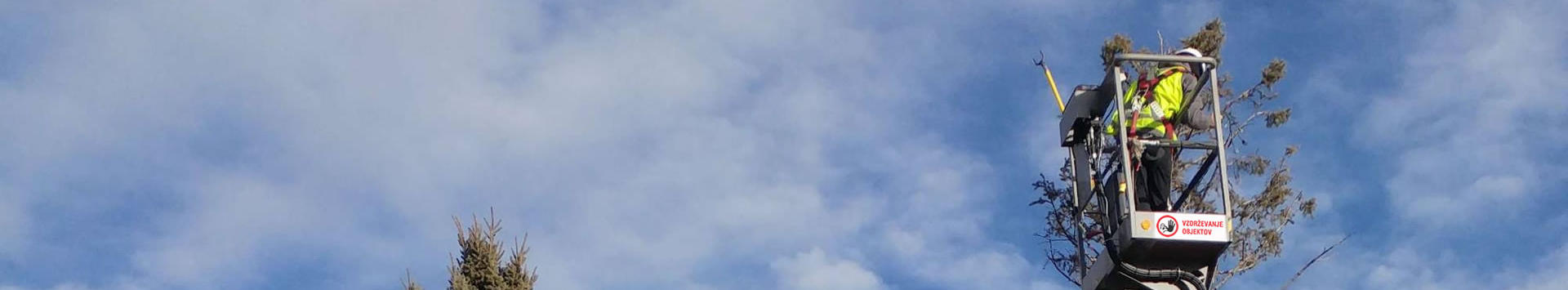 Obrezovanje dreves Dolenjska