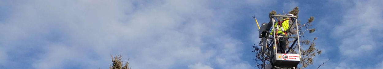 Obrezovanje dreves Dolenjska