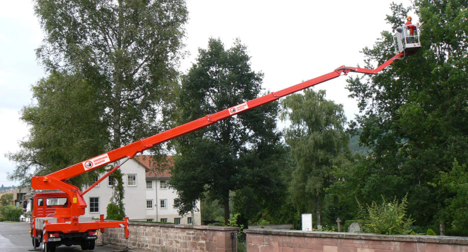 Obrezovanje dreves Dolenjska