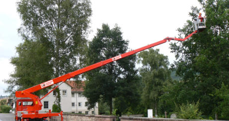 Obrezovanje dreves Dolenjska